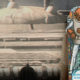 Admiral Ackbar Bookmark Header